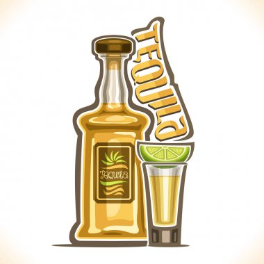Alkol vektör çizim tekila içmek, narenciye, özgün yazı tipi word tekila, bar menüsü için anahat kompozisyon için dilim ile cam vurdu şişe lüks Meksika kaktüs içki, tam sarı.