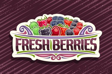 Taze böğürtlenler için vektör logosu, çeşitli böğürtlen ve tasarım resimleriyle dekoratif kağıt tabelaları, çizgili arkaplanda taze böğürtlenler için orijinal yazı karakteri kavramı.