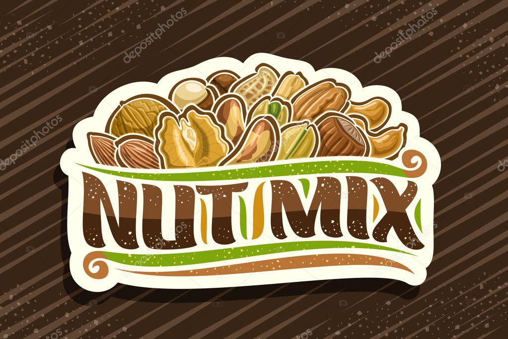 Vector logo for Nut Mix, decorative cut paper tag with illustration of heap raw variety nuts and flourishes, design concept with original brush script for words nut mix on brown abstract background.