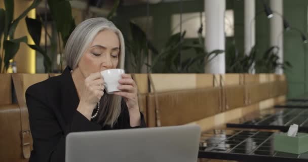 Velha mulher de negócios elegante sentada à mesa e gostando de beber café. Empreendedor feminino maduro trabalhando com laptop no café. Conceito de trabalho, negócios e sucesso. Interior . — Vídeo de Stock