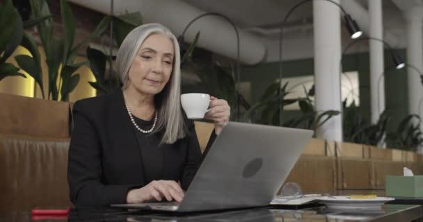 Framifrån av mogen snygg affärskvinna som håller cofee cup och arbetar på laptop. Gammal elegant kvinnlig företagare sitter vid cafébordet och arbetar. Inomhus. Affärsidé. — Stockvideo