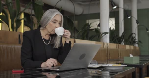 Vista lateral de la vieja mujer de negocios elegante beber café y trabajar en el ordenador portátil. Madura hermosa empresaria sentada en la mesa de la cafetería y la lectura de correos electrónicos. En el interior. Concepto de negocio . — Vídeo de stock