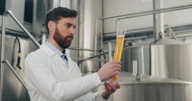 Yakışıklı erkek işçinin cam tüpte taze yapılmış içeceğe bakışı. Modern bira fabrikasında dikilirken laboratuvar önlüğüyle bira kalitesini ölçen işlem geliştirici..