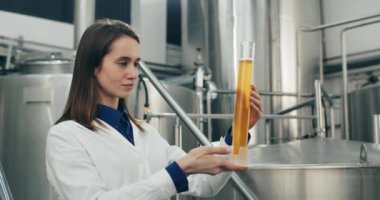 Çekici bir kadın işçinin cam tüpte taze yapılmış biraya bakması. Laboratuvar önlüğündeki işlemler modern bira fabrikasında dururken meşrubat kalitesini kontrol ediyor..