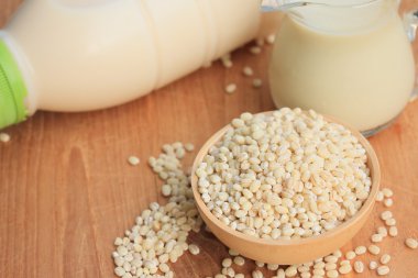 soya sütü ve arpa tohumu