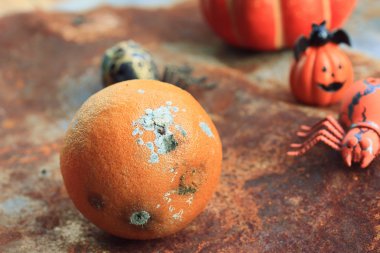 Turuncu rot Cadılar Bayramı gün