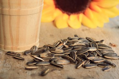 Bir yığın Ayçiçeği tohumları
