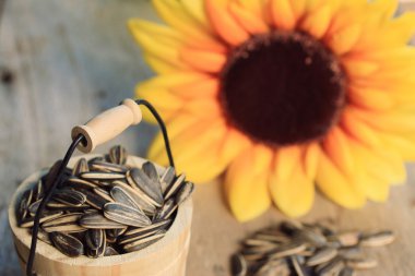 Bir yığın Ayçiçeği tohumları