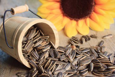 Bir yığın Ayçiçeği tohumları