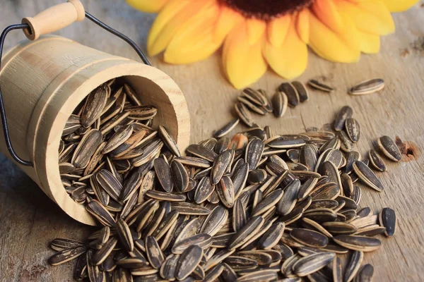 Um montão de sementes de girassol — Fotografia de Stock