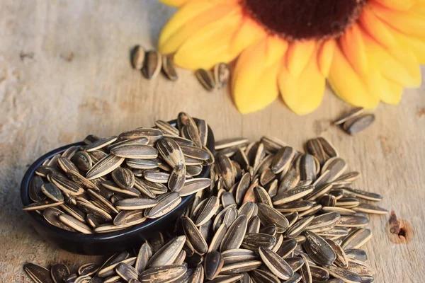 Un mucchio di semi di girasole — Foto Stock
