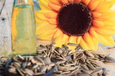 Ayçiçeği tohumu ve yağlar