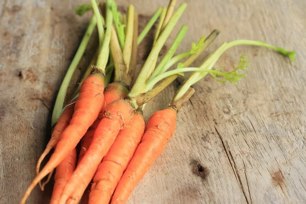 Fresh carrot with juices — Stock Photo, Image