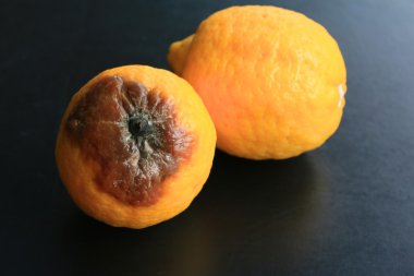 çürük limon siyah arka plan