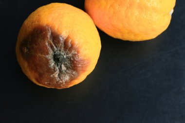 çürük limon siyah arka plan