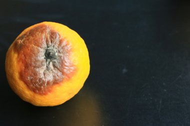 çürük limon siyah arka plan