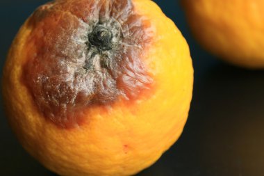 çürük limon siyah arka plan