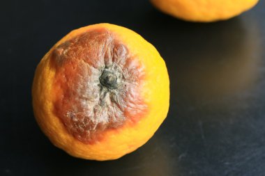 çürük limon siyah arka plan