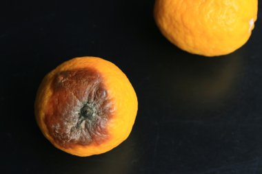 çürük limon siyah arka plan