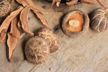 Ganoderma Lucidium ahşap üzerinde