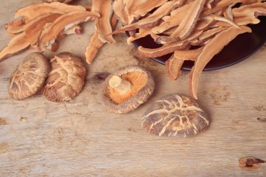 Ganoderma Lucidium ahşap üzerinde