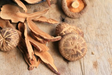 Ganoderma Lucidium ahşap üzerinde