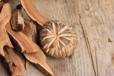 Ganoderma Lucidium ahşap üzerinde