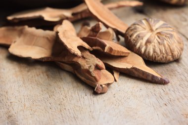 Ganoderma Lucidium ahşap üzerinde