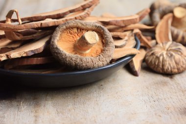 Ganoderma Lucidium ahşap üzerinde