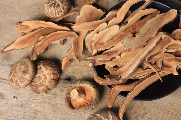 Ganoderma lucidum su legno — Foto Stock
