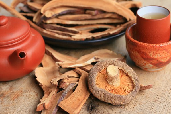 Ganoderma lucidum hot tea