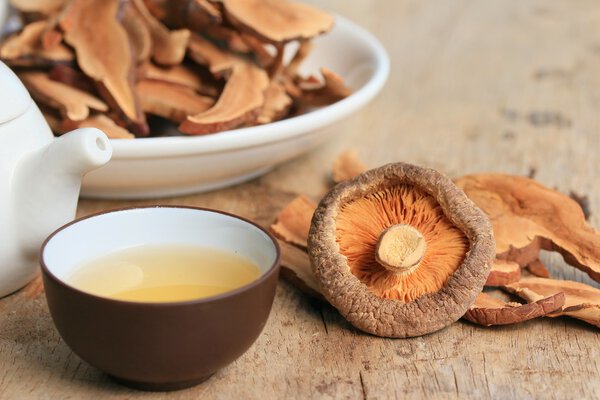 Ganoderma lucidum hot tea