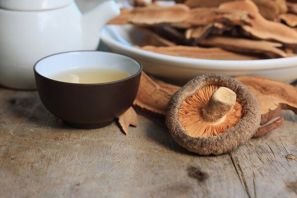 Ganoderma lucidum hot tea