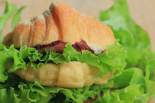 Tasty croissant ham cheese — Stock Photo, Image