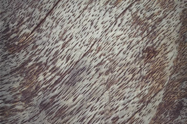 木材の背景テクスチャ ヴィンテージ — ストック写真