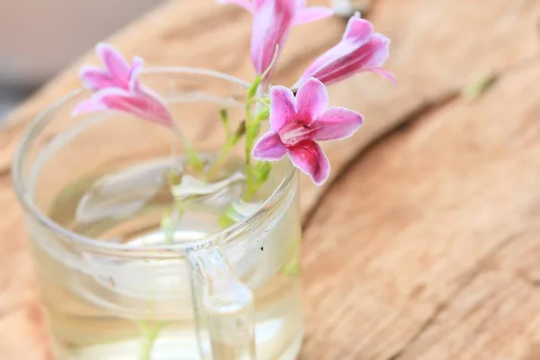 Flowers in a glass — Stock Photo, Image