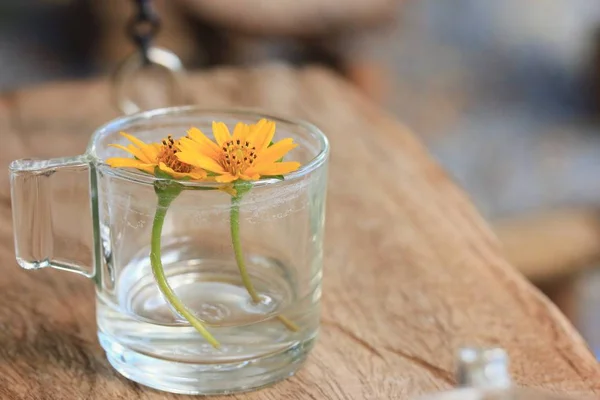 Flowers in a glass — Stock Photo, Image