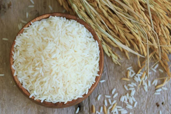 Grain rice and rice plant — Stock Photo, Image