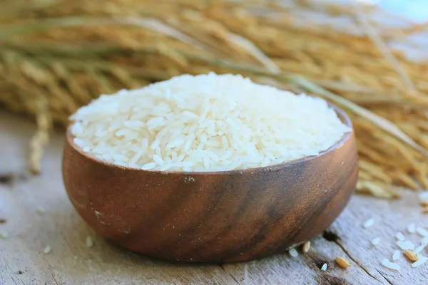 Arroz de grano y planta de arroz —  Fotos de Stock