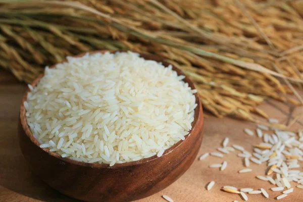 Rondkorrelige rijst en rijst planten — Stockfoto