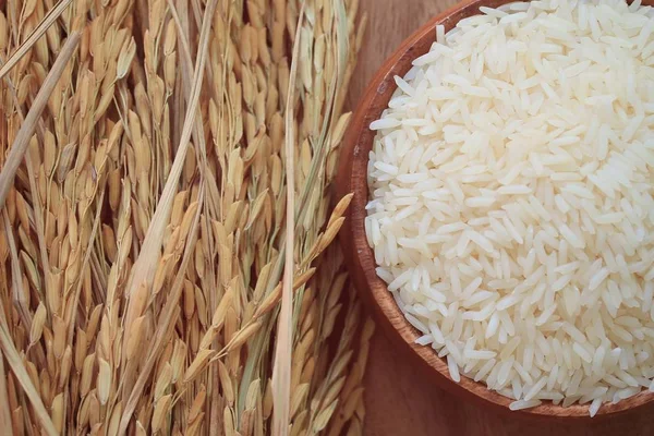 Ryżu i ryżu roślin — Zdjęcie stockowe