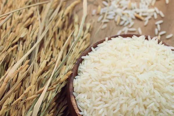 Ryżu i ryżu roślin — Zdjęcie stockowe