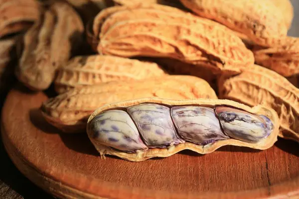 Арахисовое масло и орех — стоковое фото
