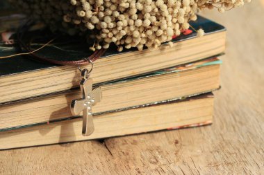 çapraz ve kurutulmuş çiçekler