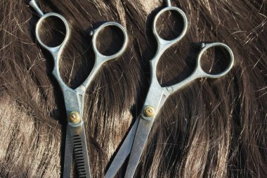 Kuaför Saç için makaslar