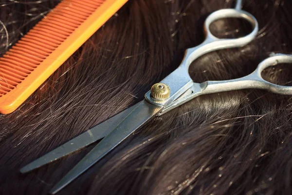 Tijeras de peluquero en el cabello —  Fotos de Stock