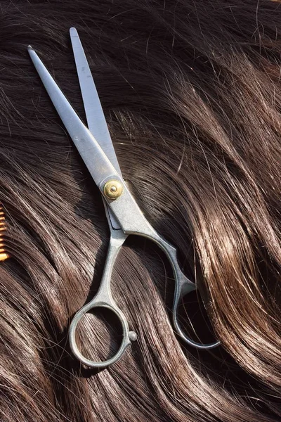 Tijeras de peluquero sobre pelos — Foto de Stock