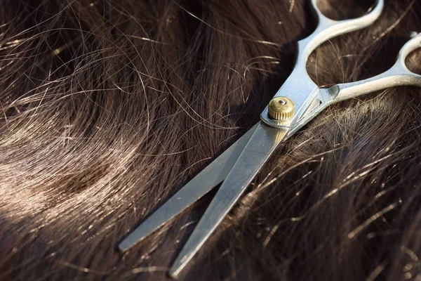 Ciseaux de coiffeur sur les cheveux — Photo