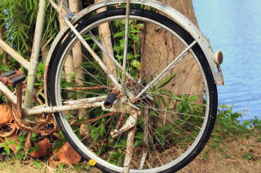 Çimenlerin üzerinde Vintage Bisiklet