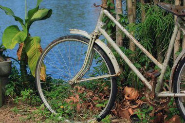 Çimenlerin üzerinde Vintage Bisiklet